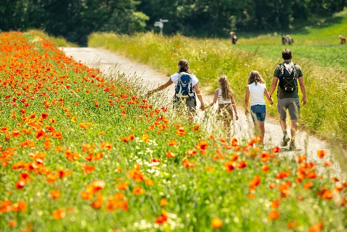 Wandern_Eifel_Tourismus_GmbH_Dominik_Ketz